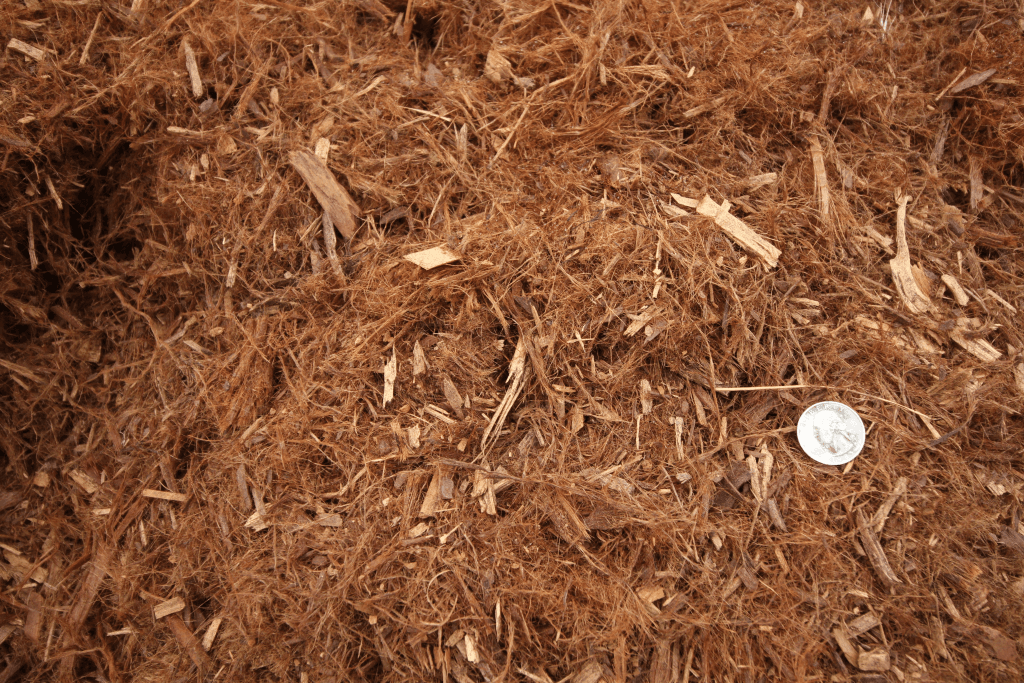 Double Grind Redwood