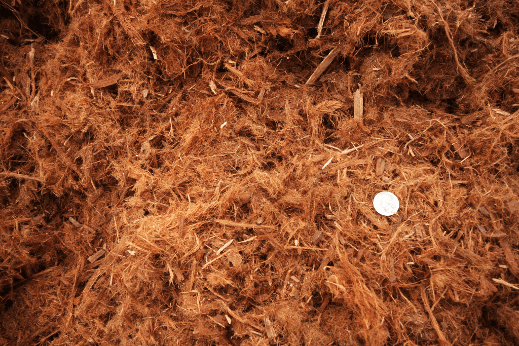 Single Grind Redwood