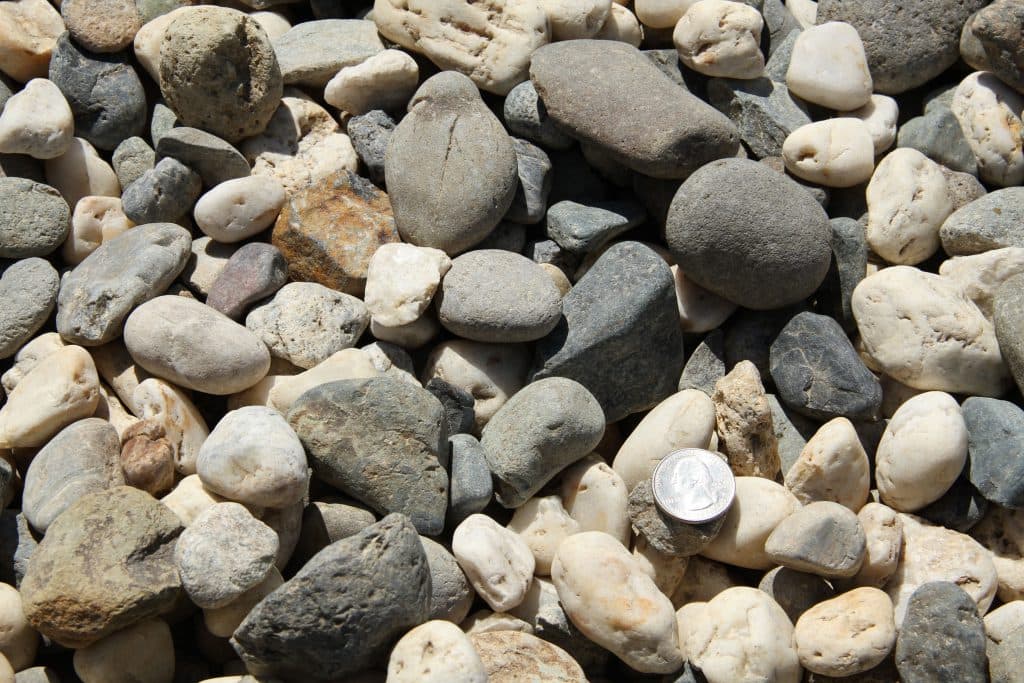 1 1/2" Salt and Pepper