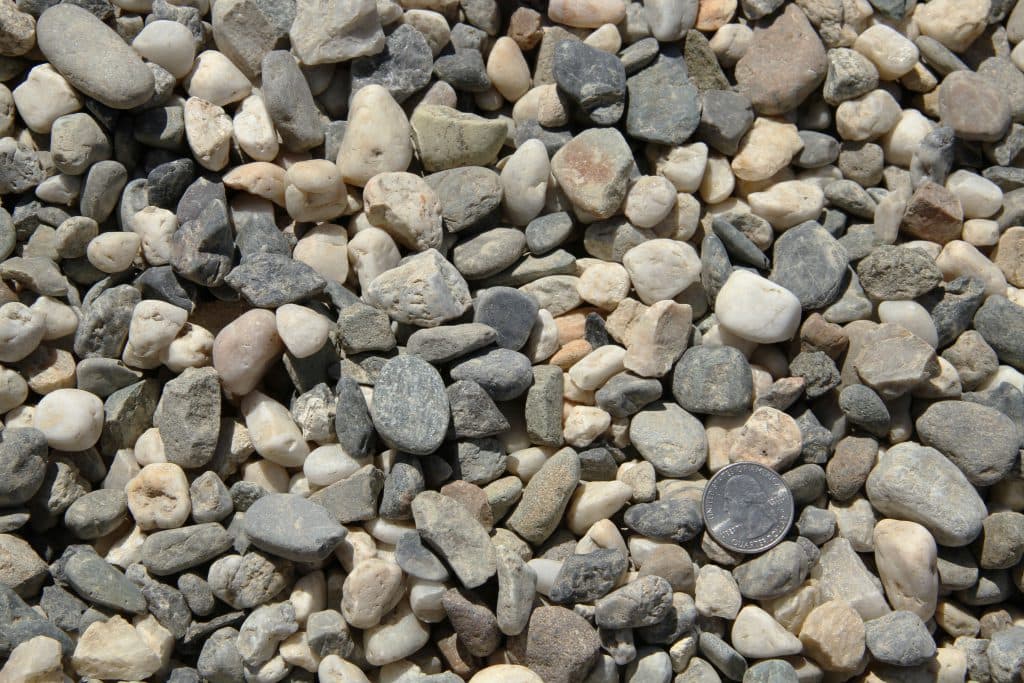 3/4" Salt and Pepper