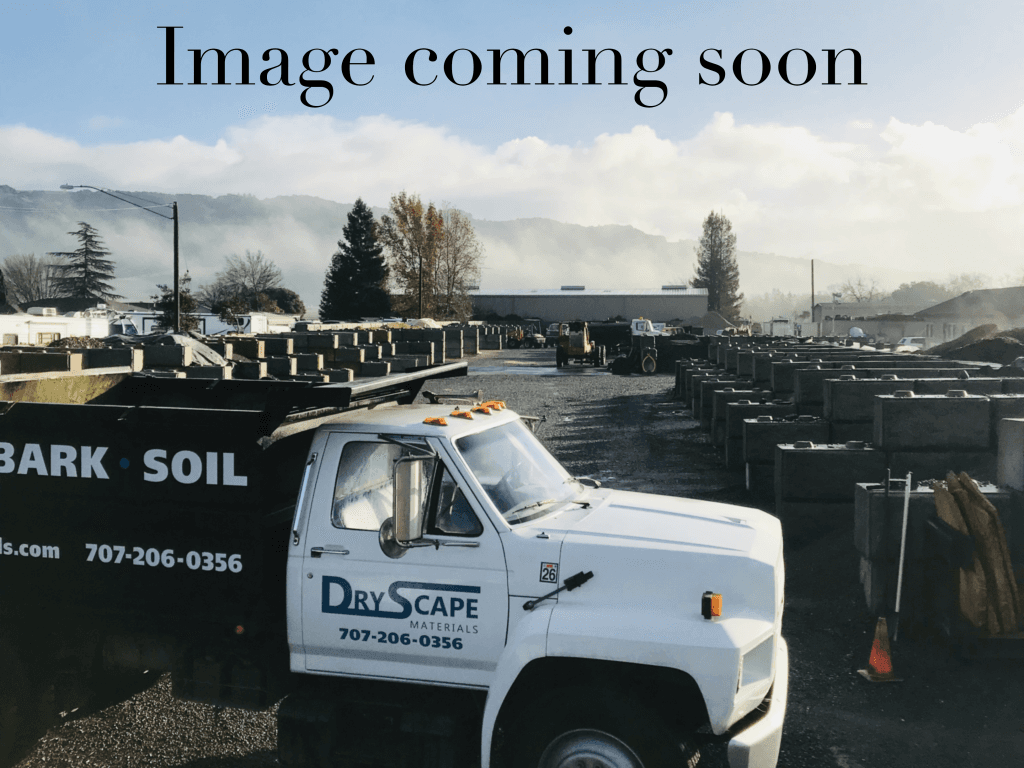 Northern Arizona Peach