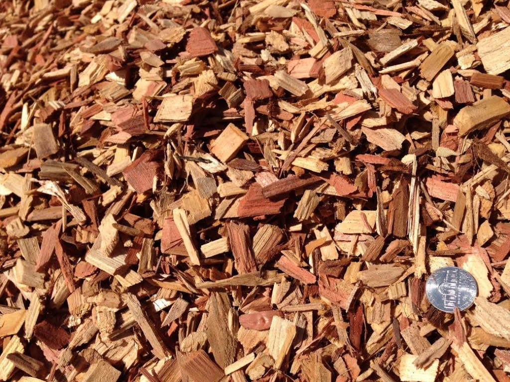 Wood Chip Bark